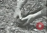 Image soldats des États-Unis United States USA, 1947, de la seconde 3 séquences d'archives historiques vidéo 65675075814