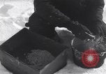 Standbild 41 Tank Bataillon Bercheux Belgien, 1945, aus Sekunde 20 historischem Filmmaterial Videoclip 65675075829