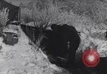 Standbild 41 Tank Bataillon Bercheux Belgien, 1945, aus Sekunde 24 historischem Filmmaterial Videoclip 65675075829