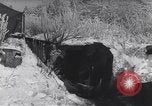 Standbild 41 Tank Bataillon Bercheux Belgien, 1945, aus Sekunde 33 historischem Filmmaterial Videoclip 65675075829