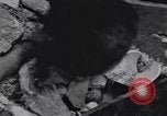 Standbild deutsche zivile Neuss Deutschland, 1945, aus Sekunde 40 historischem Filmmaterial Videoclip 65675075836