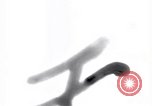 Image of Allied air raid Japan, 1945, second 12 stock footage video 65675075850