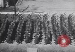 Image of United States Engineers United States USA, 1944, second 39 stock footage video 65675075855
