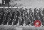 Image of United States Engineers United States USA, 1944, second 40 stock footage video 65675075855