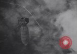 Image of United States Engineers European Theater, 1944, second 6 stock footage video 65675075859