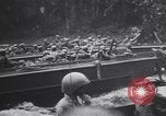 Image of United States Engineers European Theater, 1944, second 31 stock footage video 65675075859