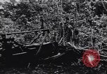 Image of United States Engineers European Theater, 1944, second 3 stock footage video 65675075860