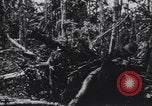 Image of United States Engineers European Theater, 1944, second 5 stock footage video 65675075860