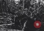 Image of United States Engineers European Theater, 1944, second 6 stock footage video 65675075860