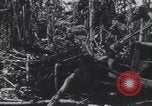 Image of United States Engineers European Theater, 1944, second 7 stock footage video 65675075860