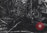 Image of United States Engineers European Theater, 1944, second 8 stock footage video 65675075860