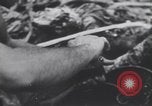Image of United States Engineers European Theater, 1944, second 39 stock footage video 65675075860