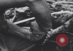 Image of United States Engineers European Theater, 1944, second 40 stock footage video 65675075860