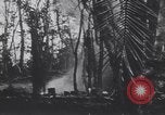 Image of United States Engineers European Theater, 1944, second 42 stock footage video 65675075860