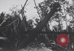 Image of United States Engineers European Theater, 1944, second 54 stock footage video 65675075860