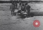 Image of United States Engineers European Theater, 1944, second 61 stock footage video 65675075862
