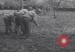 Image of United States Engineers European Theater, 1944, second 11 stock footage video 65675075866