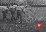 Image of United States Engineers European Theater, 1944, second 13 stock footage video 65675075866