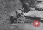 Image of United States Engineers European Theater, 1944, second 45 stock footage video 65675075867
