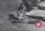 Image of United States Engineers European Theater, 1944, second 46 stock footage video 65675075867
