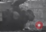 Immagine di Terza Divisione Corazzate Colonia Germania, 1945, secondo 11 filmato di repertorio 65675075886