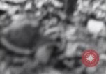 Image Medic a tendance à blessé un soldat américain Wegscheid Allemagne, 1945, de la seconde 1 séquences d'archives historiques vidéo 65675075891