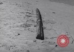 Image of demolition charges United States USA, 1944, second 25 stock footage video 65675075896