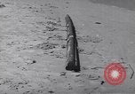 Image of demolition charges United States USA, 1944, second 26 stock footage video 65675075896