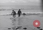 Image charges de démolition United States USA, 1944, de la seconde 3 séquences d'archives historiques vidéo 65675075897