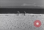Immagine di Cariche di Demolizione United States USA, 1944, secondo 1 filmato di repertorio 65675075898