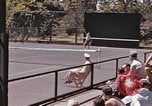 Standbild tennis match Honolulu Hawaii USA, 1945, aus Sekunde 51 historischem Filmmaterial Videoclip 65675075915