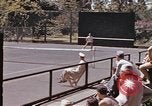 Standbild tennis match Honolulu Hawaii USA, 1945, aus Sekunde 57 historischem Filmmaterial Videoclip 65675075915