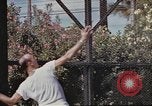 Image of tennis match Honolulu Hawaii USA, 1945, second 48 stock footage video 65675075916