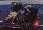 Standbild USA U-Boot Pazifik, 1945, aus Sekunde 1 historischem Filmmaterial Videoclip 65675075924