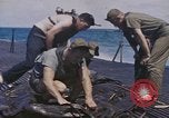 Standbild USA U-Boot Pazifik, 1945, aus Sekunde 6 historischem Filmmaterial Videoclip 65675075924