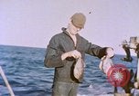 Image of USS Stickleback Pacific Ocean, 1945, second 5 stock footage video 65675075932