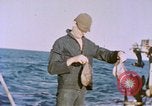 Image of USS Stickleback Pacific Ocean, 1945, second 6 stock footage video 65675075932