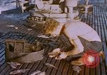 Image of USS Stickleback Pacific Ocean, 1945, second 8 stock footage video 65675075932