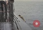 Image of USS Stickleback Pacific Ocean, 1945, second 48 stock footage video 65675075934
