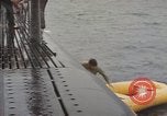 Image of USS Stickleback Pacific Ocean, 1945, second 51 stock footage video 65675075934
