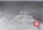 Image of USS Stickleback Pacific Ocean, 1945, second 6 stock footage video 65675075935
