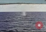 Image of USS Catfish Pacific Ocean, 1945, second 1 stock footage video 65675075937