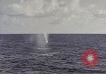 Image of USS Catfish Pacific Ocean, 1945, second 10 stock footage video 65675075937