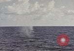 Image of USS Catfish Pacific Ocean, 1945, second 11 stock footage video 65675075937