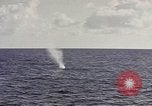 Image of USS Catfish Pacific Ocean, 1945, second 14 stock footage video 65675075937