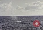 Image of USS Catfish Pacific Ocean, 1945, second 15 stock footage video 65675075937