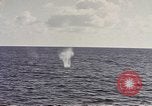 Image of USS Catfish Pacific Ocean, 1945, second 16 stock footage video 65675075937