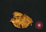 Standbild japanische Segeln junk Pazifik, 1945, aus Sekunde 32 historischem Filmmaterial Videoclip 65675075965