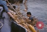 Image of Japanese prisoners Pacific Ocean, 1945, second 50 stock footage video 65675075966