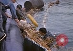 Image of Japanese prisoners Pacific Ocean, 1945, second 52 stock footage video 65675075966